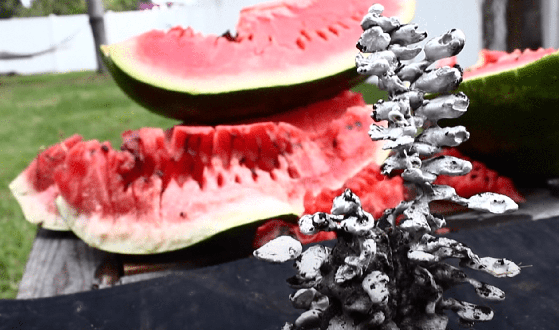 Aluminium in einer Wassermelone