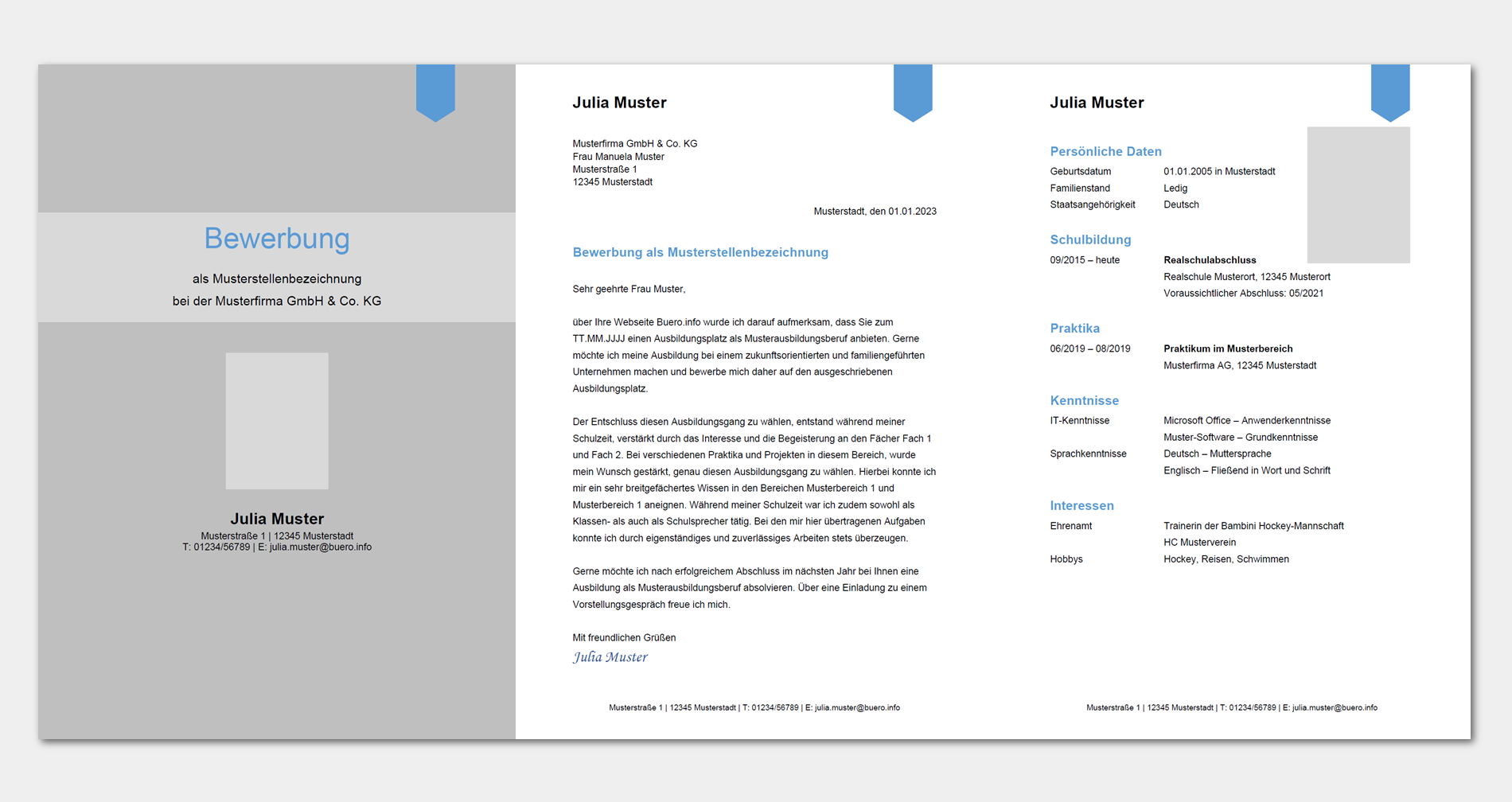 Bewerbungsvorlage 12