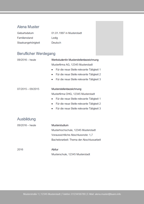 Vorlage / Muster: Lebenslauf-Muster 8