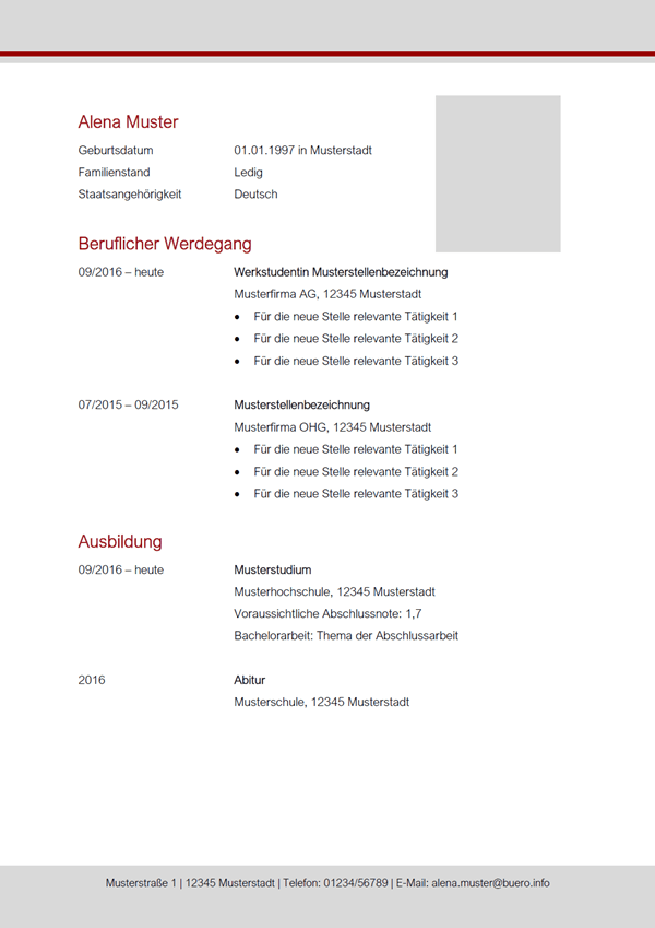 Vorlage / Muster: Lebenslauf-Muster 9