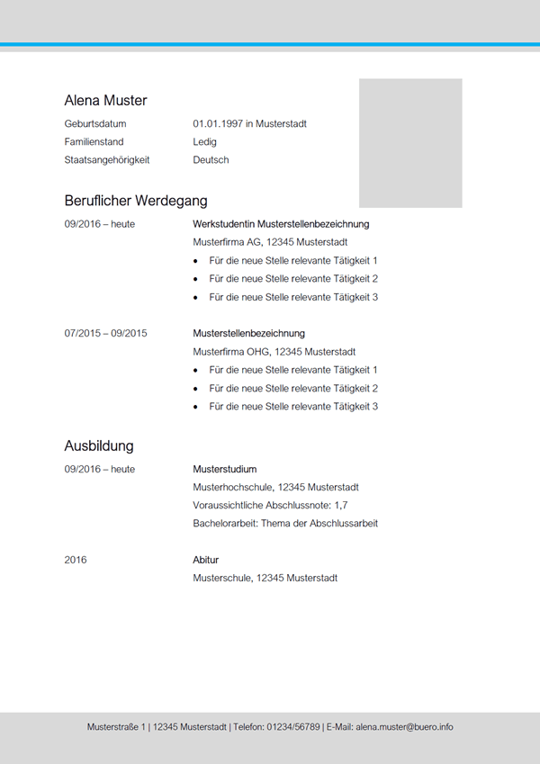 Vorlage / Muster: Lebenslauf-Vorlage 10
