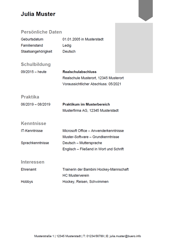Vorlage / Muster: Lebenslauf-Vorlage 13