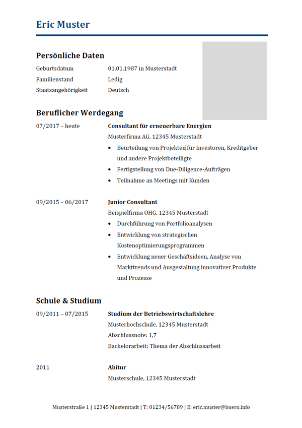 Vorlage / Muster: Lebenslauf Consulting