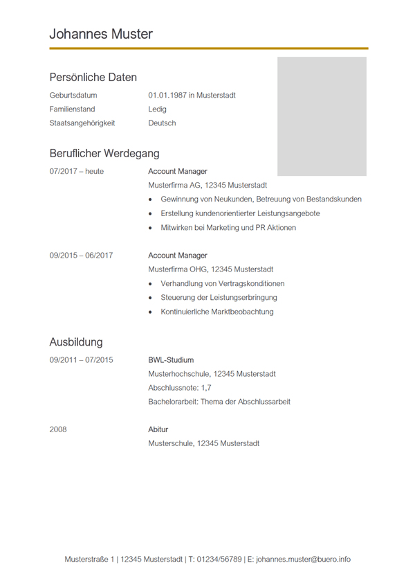 Vorlage / Muster: Lebenslauf-Vorlage Account Manager/in