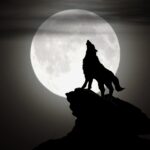 werwolf spielen