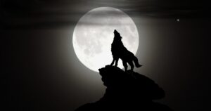 werwolf spielen
